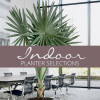 Greenfingers Indoor Plant Sales and Maintenance Indoor Plant Sales